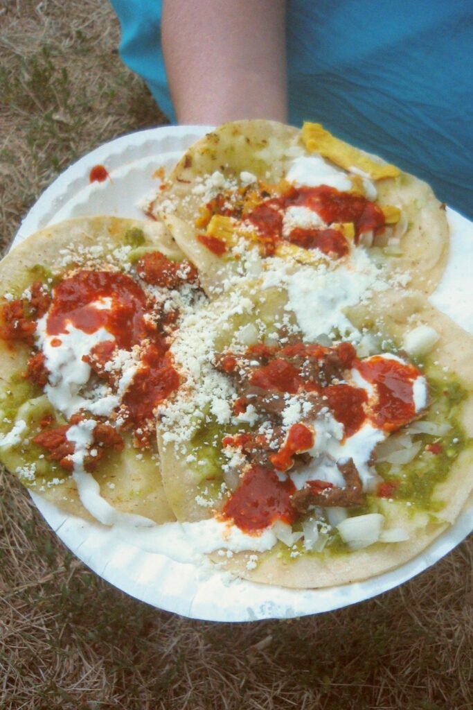 Chalupas coletas