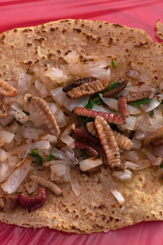 Tacos de gusanos de maguey, receta del Estado de México